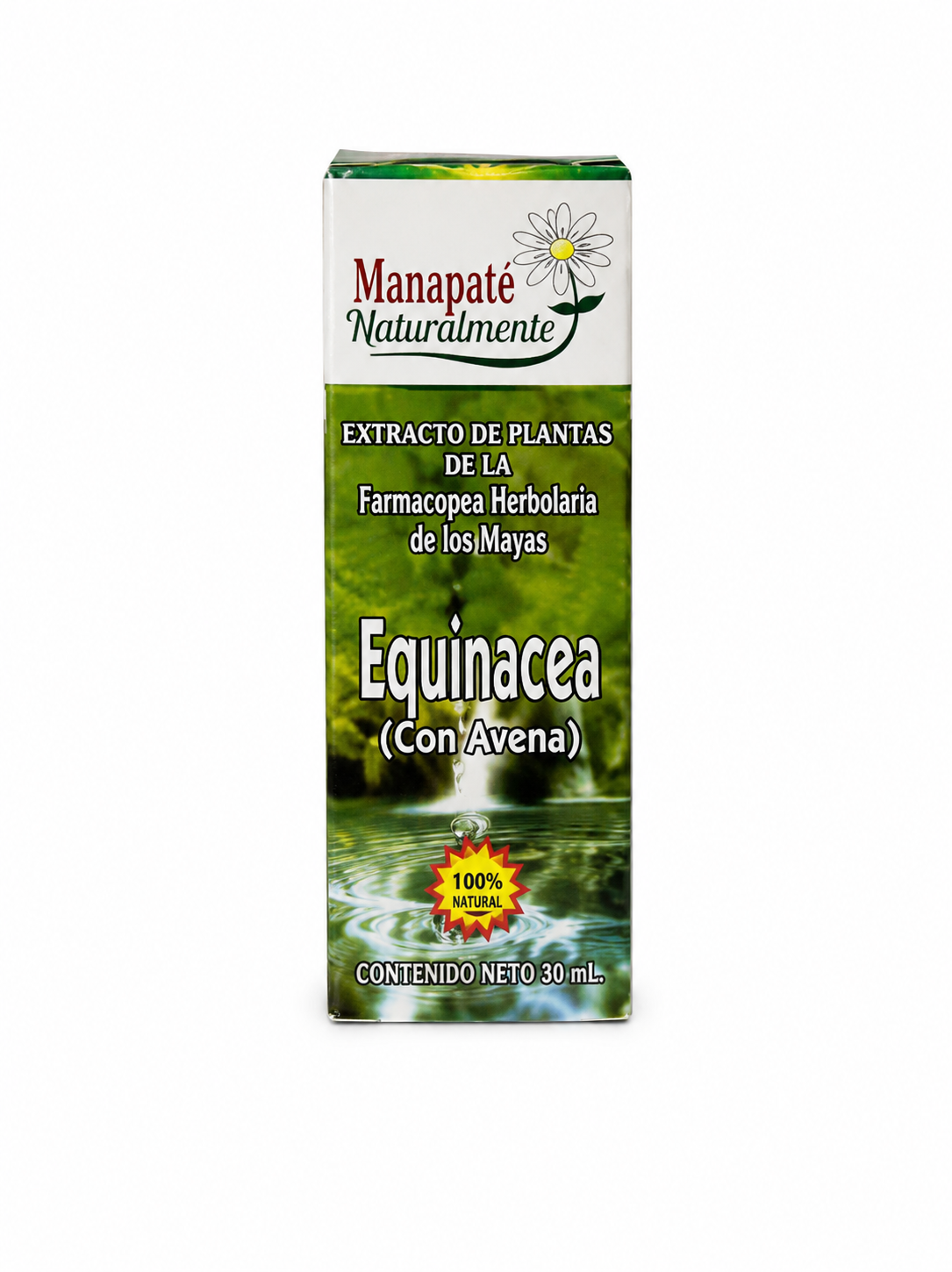 Equinácea